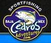 Cedros_Logo.jpg